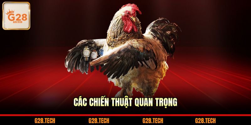 Các chiến thuật quan trọng 
