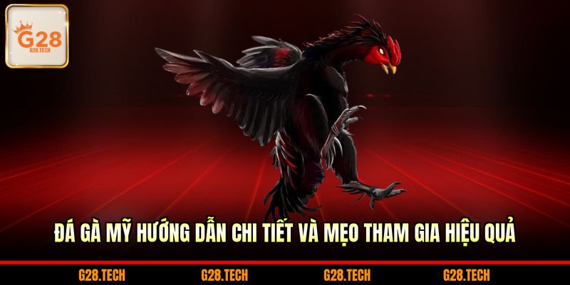 đá gà Mỹ