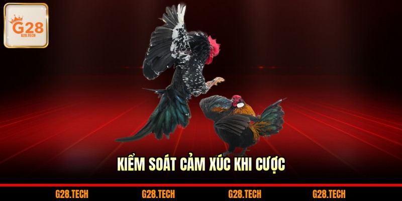 Kiểm soát cảm xúc khi cược