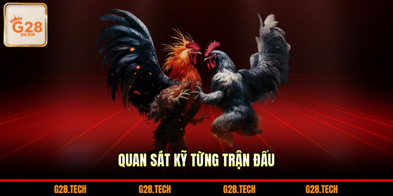 Quan sát kỹ từng trận đấu