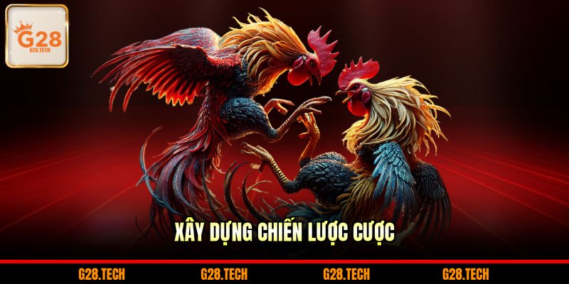 Xây dựng chiến lược cược